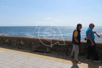 Avistan cetáceos en el mar de La Garita-Telde (Foto TA)